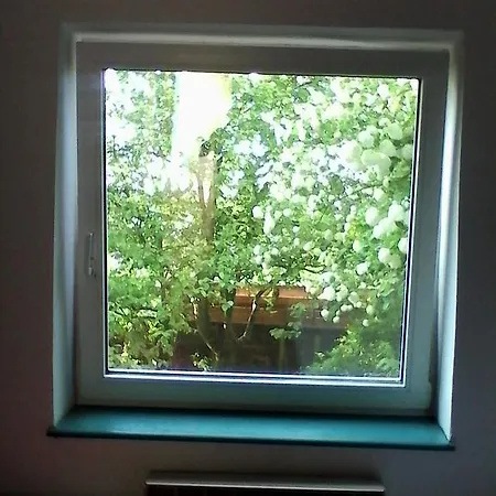 Apartman Zlata Koruna